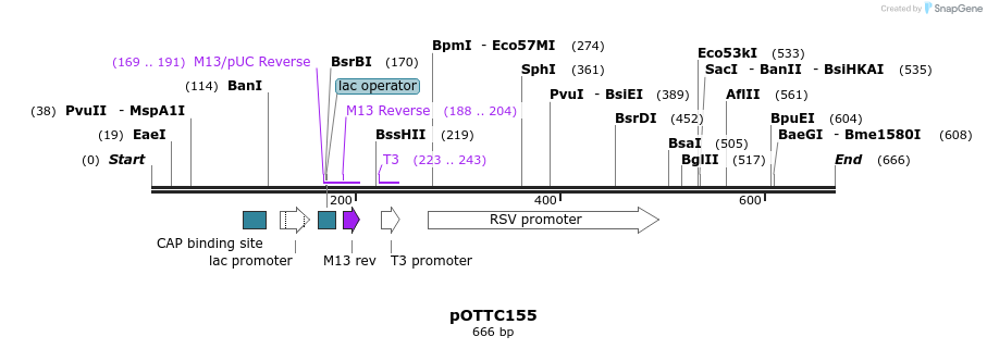 97166_map