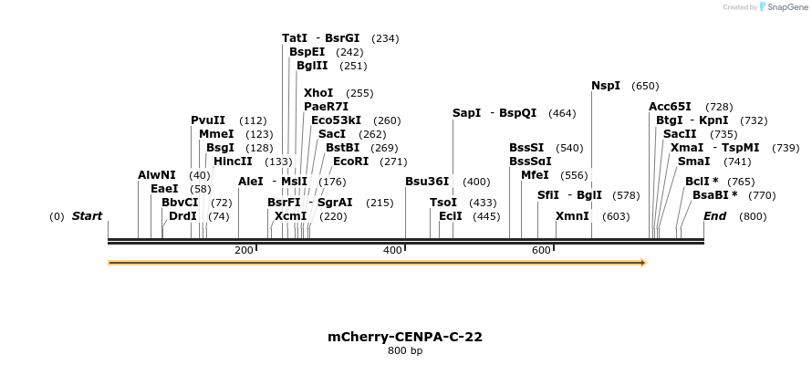 97172_map