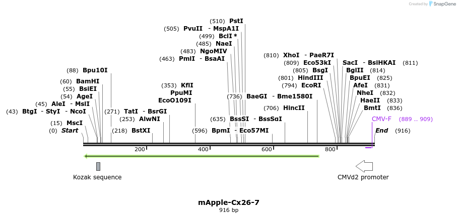 97179_map