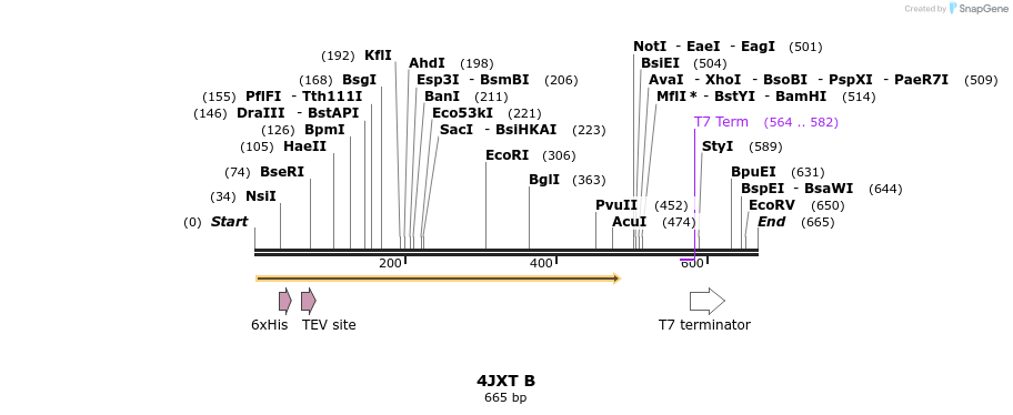 97181_map