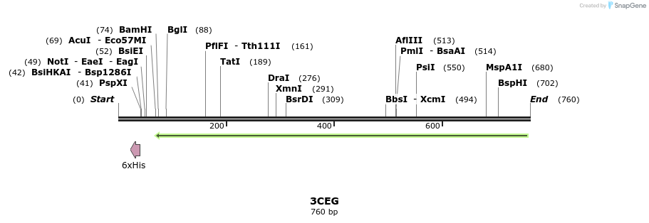 97186_map