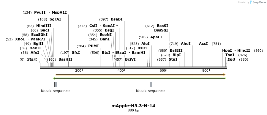 97187_map