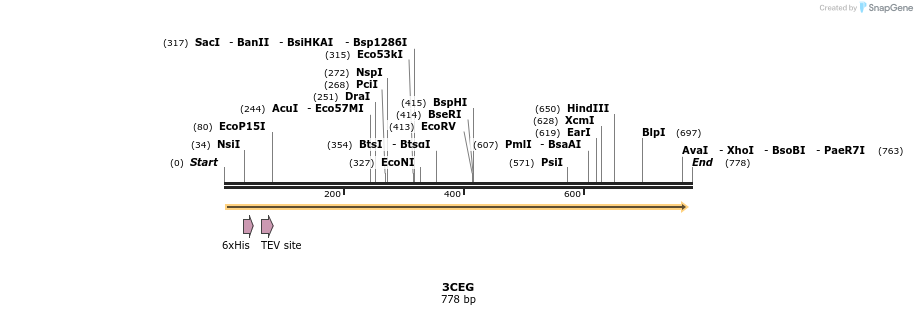 97188_map
