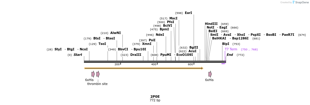 97189_map