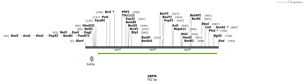 97195_map