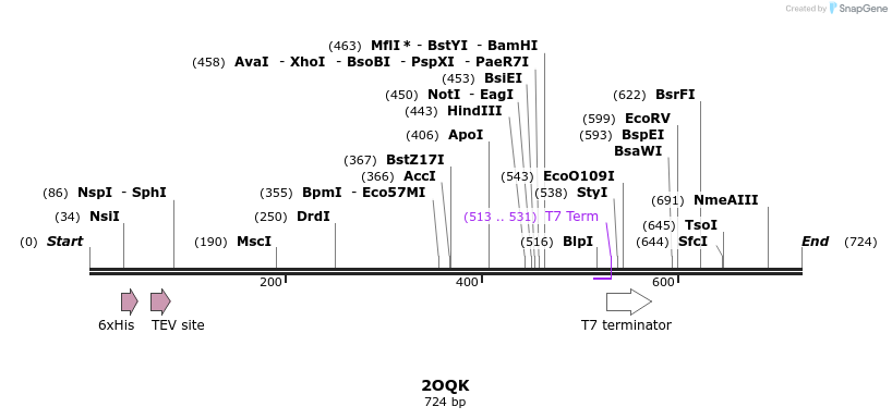 97196_map