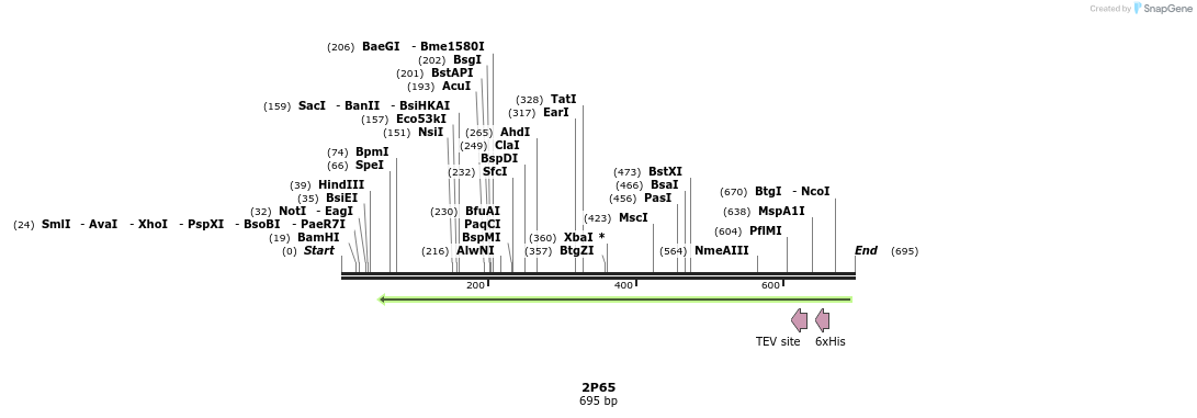 97199_map