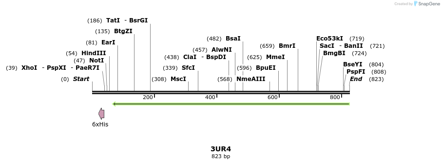97206_map