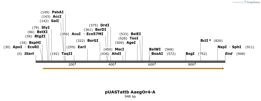 97217_map