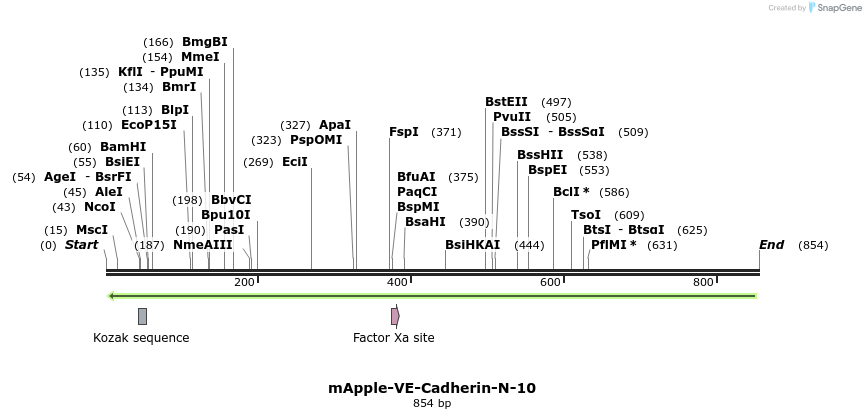 97219_map