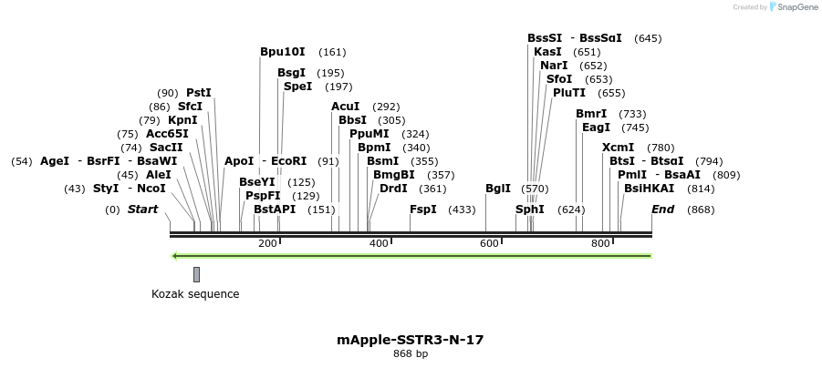 97225_map