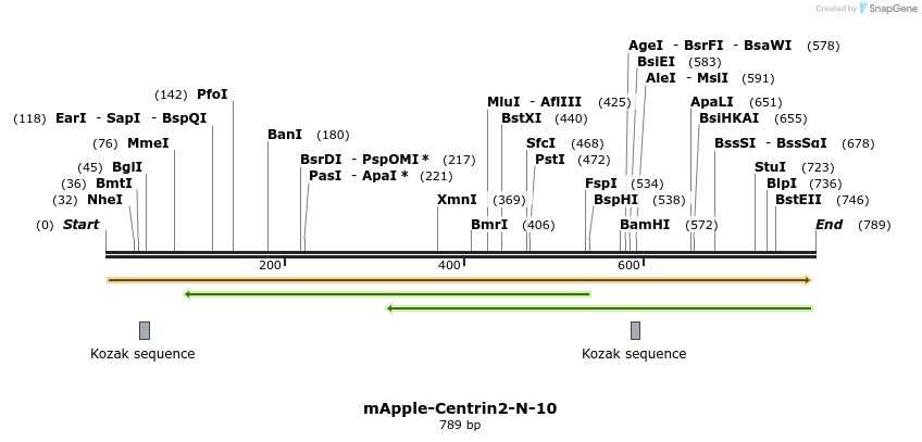 97228_map