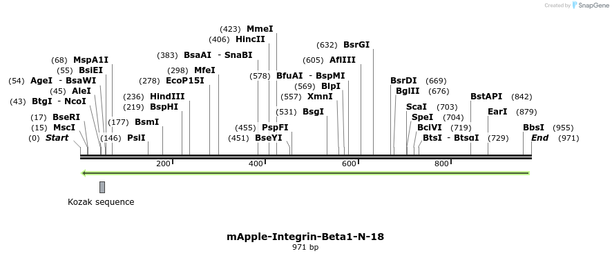 97232_map