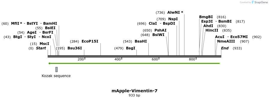 97234_map