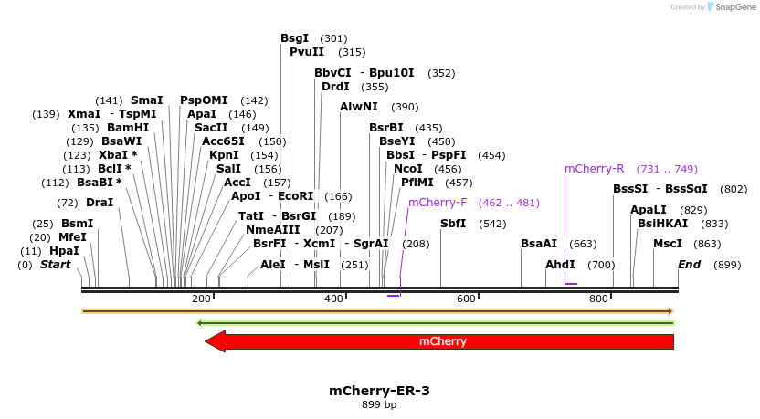 97236_map