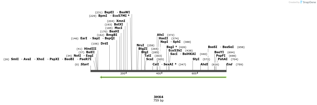 97238_map