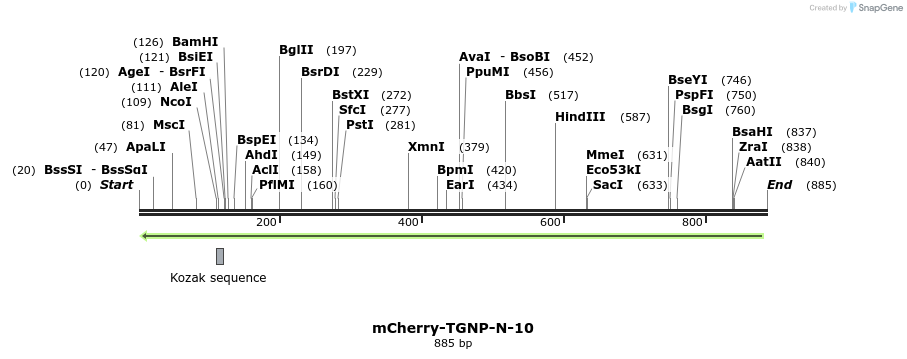 97239_map