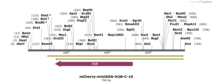 97240_map