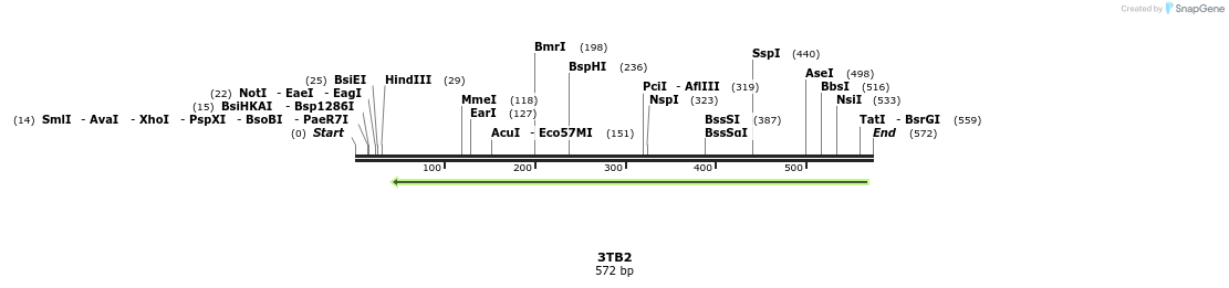 97243_map
