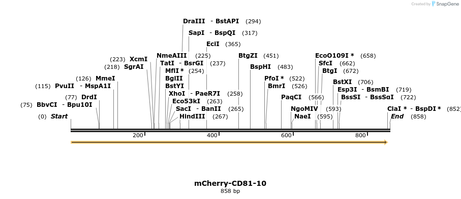 97251_map