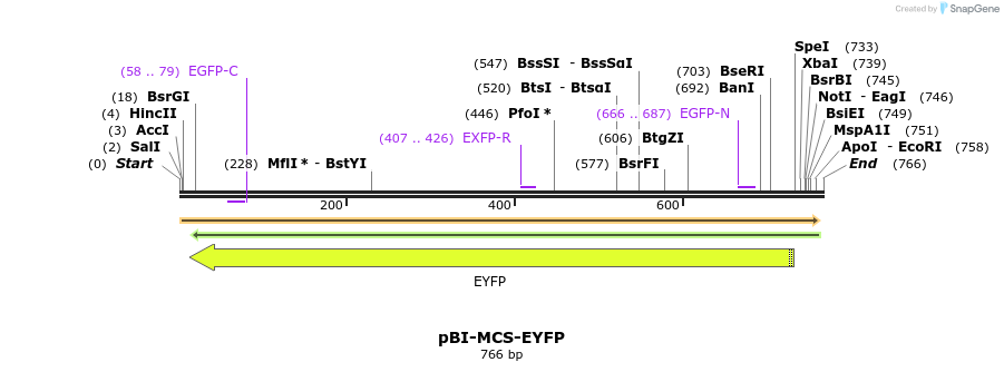 97254_map