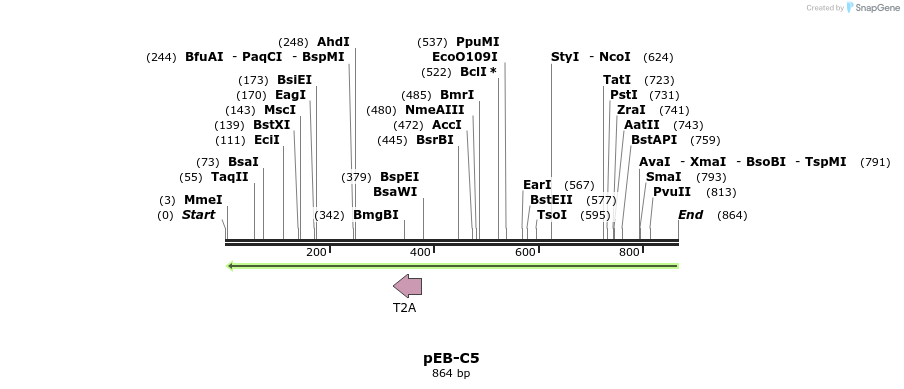 97259_map