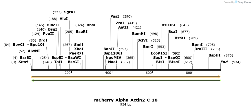 97261_map
