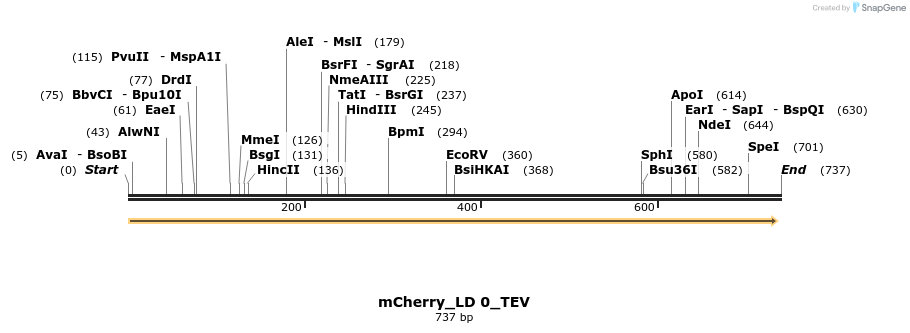 97270_map