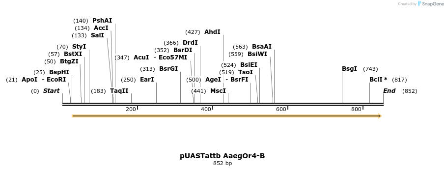 97272_map