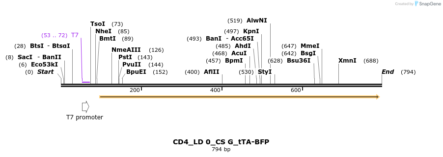 97275_map