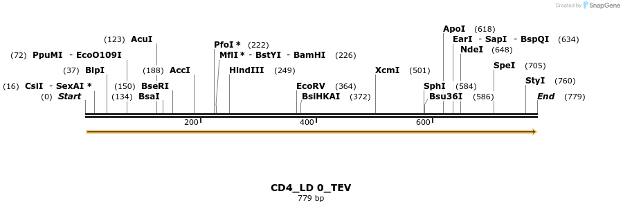 97282_map
