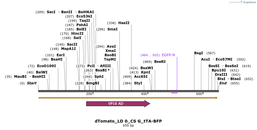 97286_map