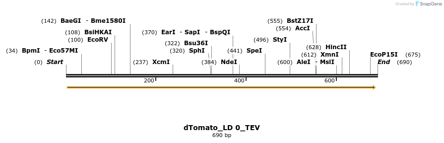 97290_map