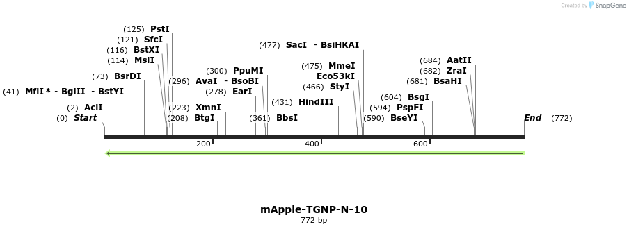 97292_map