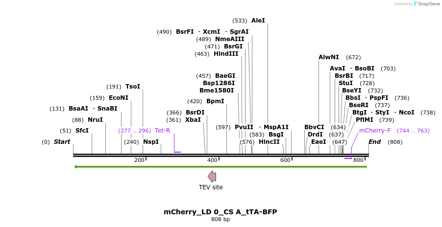 97294_map