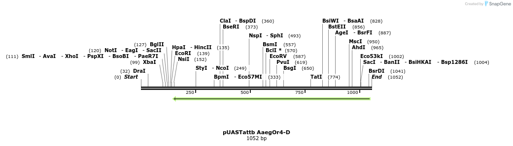 97295_map