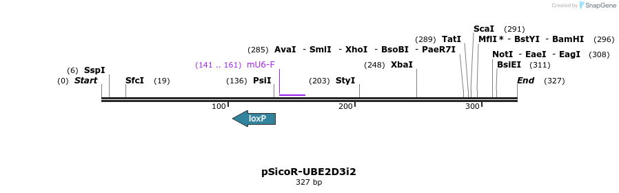 97296_map