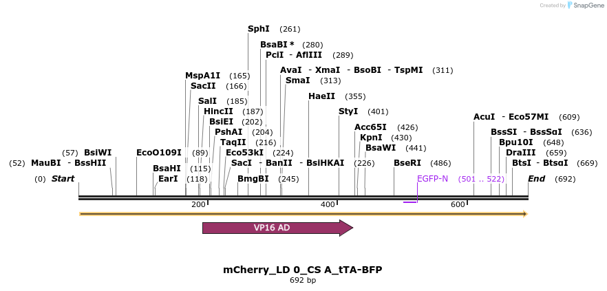 97297_map