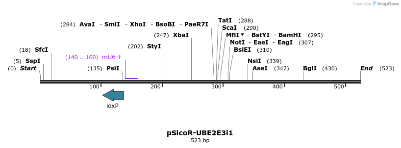 97298_map