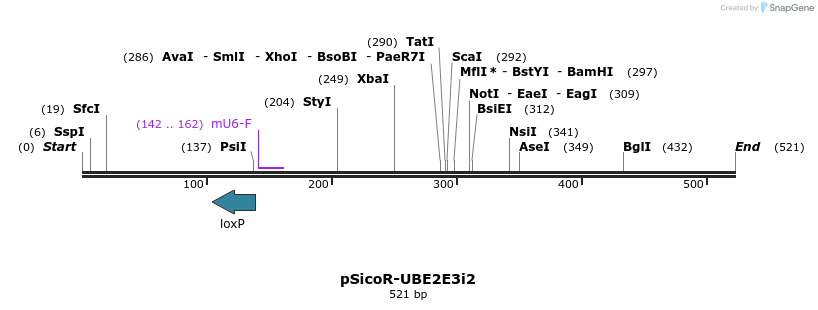 97300_map