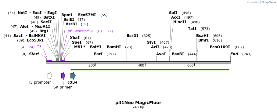 97302_map