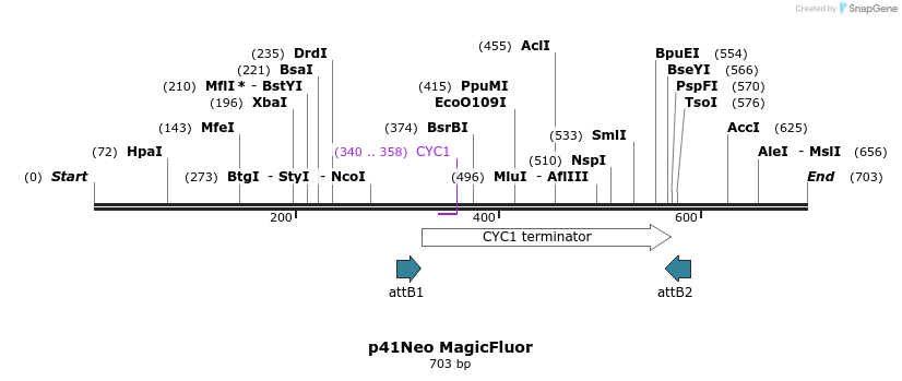 97303_map