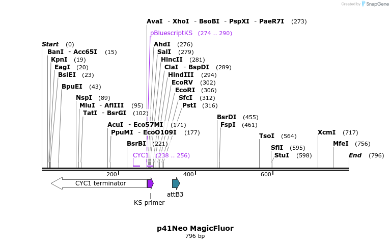 97304_map