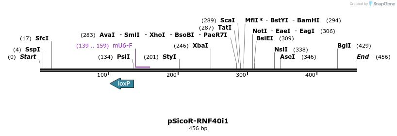 97305_map