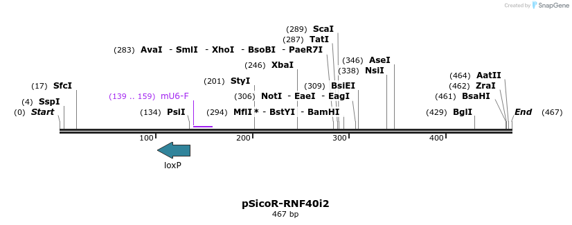 97306_map