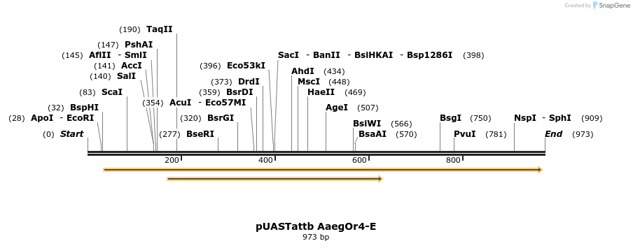 97312_map