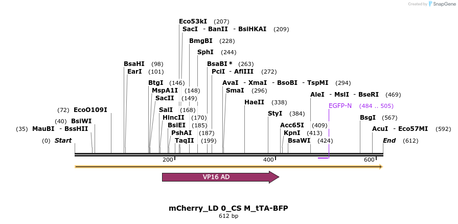 97313_map