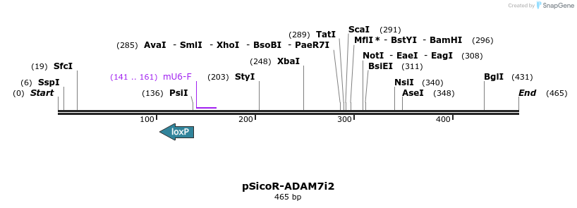 97319_map