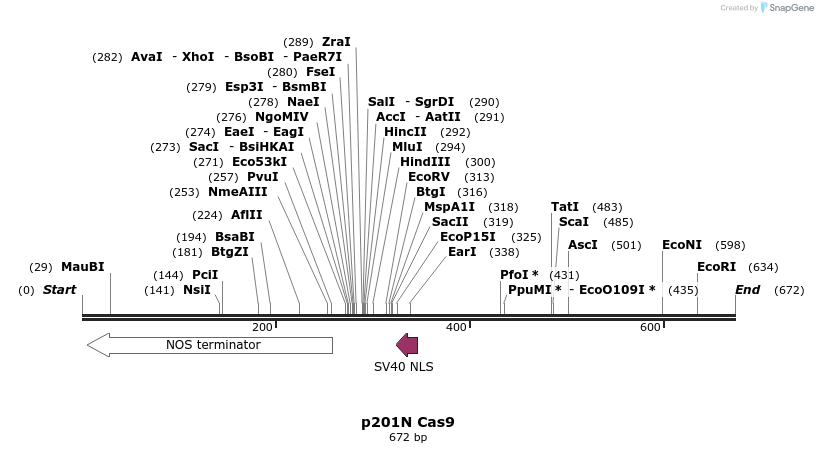97324_map
