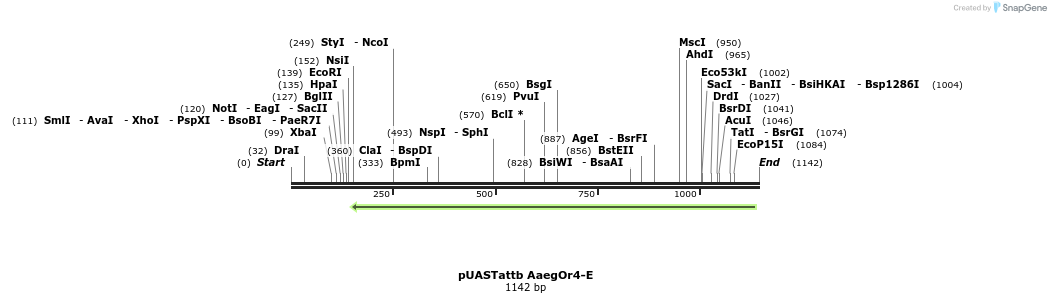 97325_map